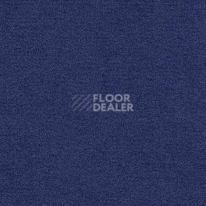 Ковролин Radici Nexus Jonio 8234 фото 1 | FLOORDEALER